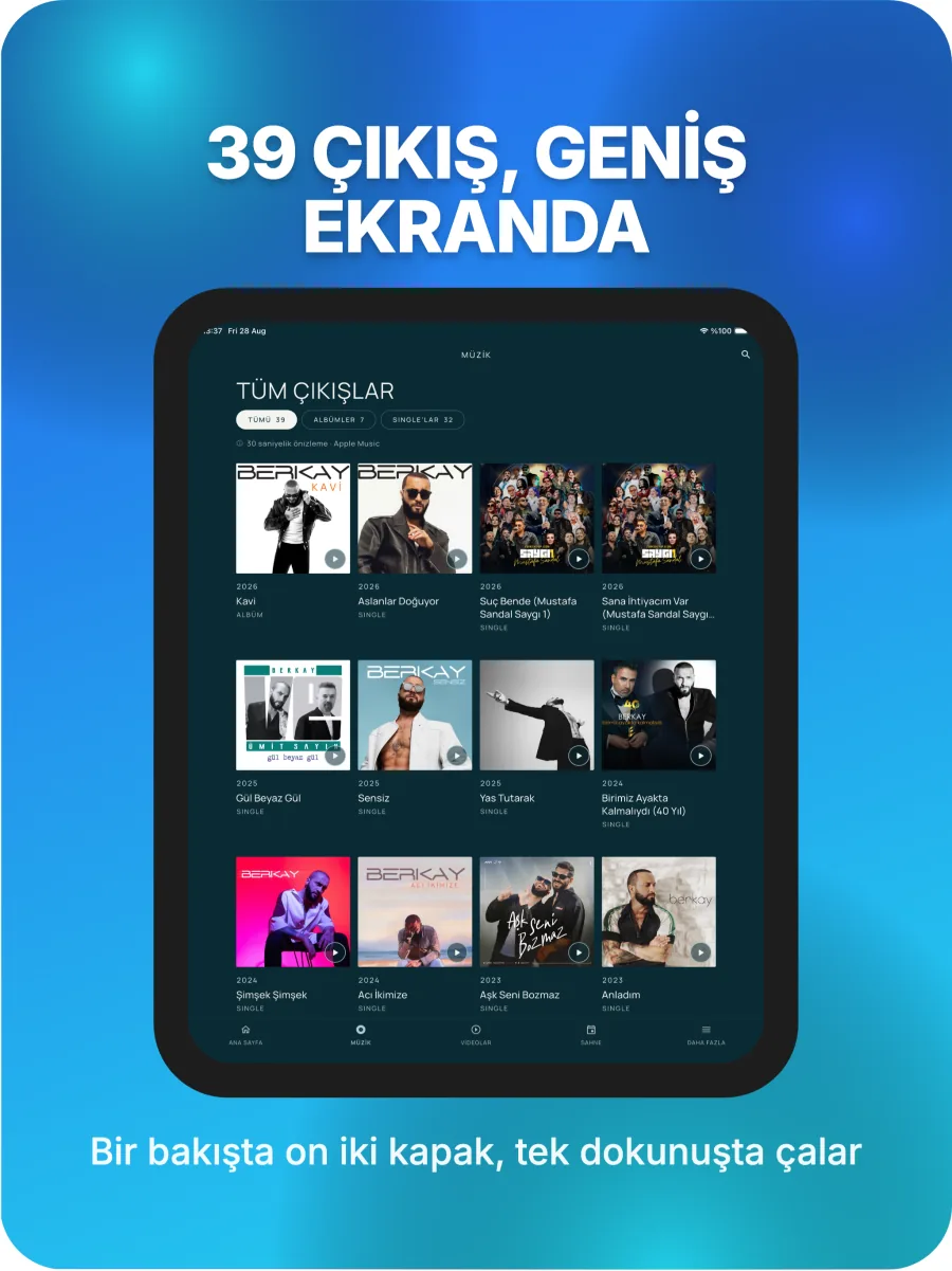 Geniş ekranda diskografi ızgarası